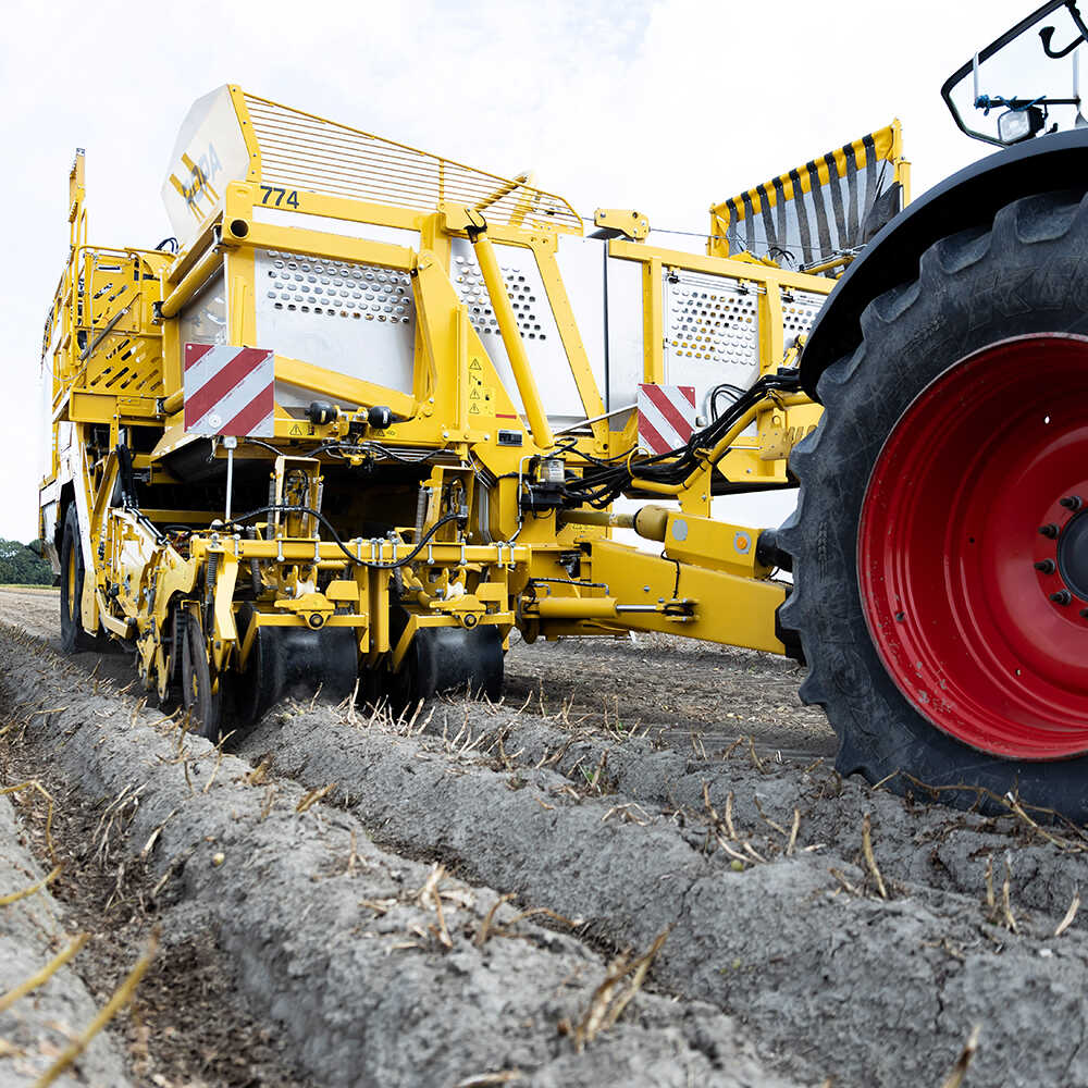 Landwirtschaft